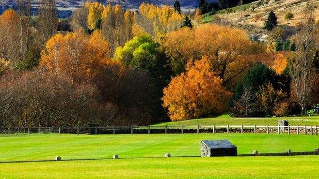 注冊新西蘭公司需要注意哪些事項？