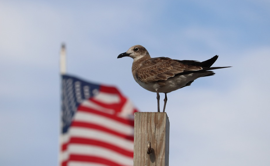 美國結(jié)婚移民